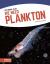 We Need Plankton We Need Plankton