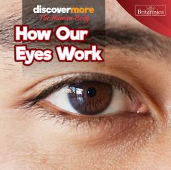 How Our Eyes Work