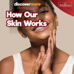 How Our Skin Works