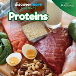Proteins