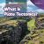 What Is Plate Tectonics? What Is Plate Tectonics?