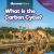 What Is the Carbon Cycle? What Is the Carbon Cycle?