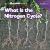 What Is the Nitrogen Cycle? What Is the Nitrogen Cycle?