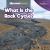 What Is the Rock Cycle?