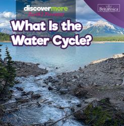 What Is the Water Cycle?