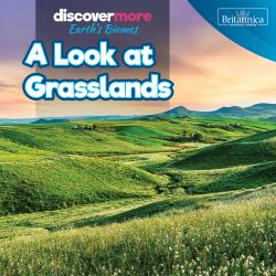 A Look at Grasslands