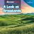 A Look at Grasslands A Look at Grasslands