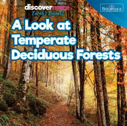 A Look at Temperate Deciduous Forests