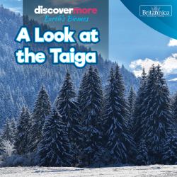 A Look at the Taiga