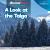 A Look at the Taiga A Look at the Taiga