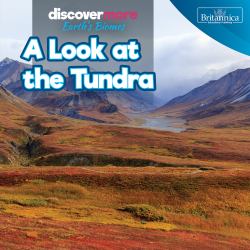 A Look at the Tundra