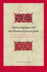 Aposynagōgos and the Historical Jesus in John : Rethinking the Historicity of the Johannine Expulsion Passages