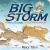 The Big Storm : A Very Soggy Counting Book