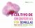 Cultivo de Orquídeas Por Semillas : Growing Orchids from Seed - Spanish-Language Edition