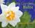 Growing Garden Bulbs