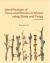 Identification of Trees and Shrubs in Winter Using Buds and Twigs, Second Edition