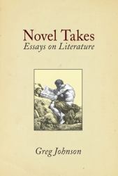 Novel Takes : Essays on Literature