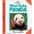 Active Minds Explorers: Meet Baby Panda Active Minds Explorers: Meet Baby Panda
