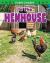 In the Henhouse
