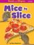 Mice to Slice