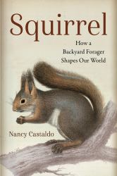 Squirrel : How a Backyard Forager Shapes Our World