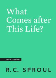 What Comes after This Life?