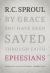 Ephesians : An Expositional Commentary
