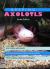 Keeping Axolotls