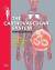 The Cardiovascular System The Cardiovascular System