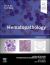 Hematopathology : A Volume in the Series: Foundations in Diagnostic Pathology