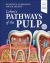 Cohen's Pathways of the Pulp