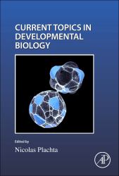 Cell Shape and Position During Development