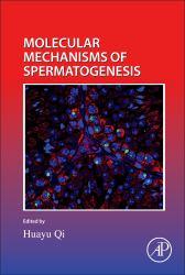 Molecular Mechanisms of Spermatogenesis