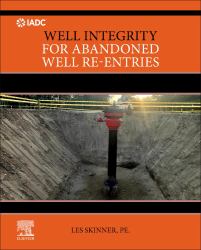 Well Integrity for Abandoned Well Re-Entries