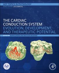 The Cardiac Conduction System : Evolution, Development, and Therapeutic Potential