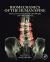 Biomechanics of the Human Spine : Basic Concepts, Spinal Disorders and Treatments
