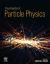 Encyclopedia of Particle Physics