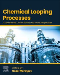 Chemical Looping Processes : Fundamentals, Current Status, and Future Perspectives