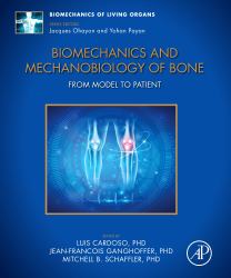 Biomechanics and Mechanobiology of Bone : From Model to Patient