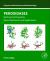 Peroxidases : Biochemical Properties, Roles, Mechanism and Applications