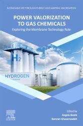 Power Valorization to Gas Chemicals : Exploring the Membrane Technology Role