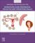 Anatomy and Physiology for Midwives and Perinatal Healthcare Professionals