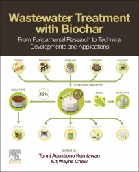 Wastewater Treatment with Biochar : From Fundamental Research to Technical Developments and Applications