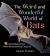 The Weird and Wonderful World of Bats : Demystifying These Often-Misunderstood Creatures