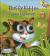 Googly Eyes : Fluffy Kitten Goes Exploring!