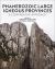Phanerozoic Large Igneous Provinces : A Comparative Approach