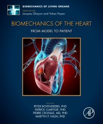 Biomechanics of the Heart : From Model to Patient