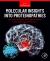 Molecular Insights into Proteinopathies : Increased Scope from Neurodegeneration to Other Pathologies of the Brain