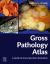 Gross Pathology Atlas : A Guide to Gross Specimens Evaluation