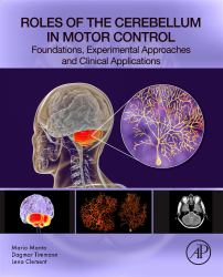 Roles of the Cerebellum in Motor Control : Foundations, Experimental Approaches and Clinical Applications